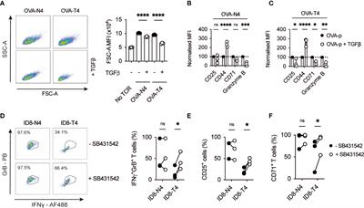 TGFβ limits Myc-dependent TCR-induced metabolic reprogramming in CD8+ T cells